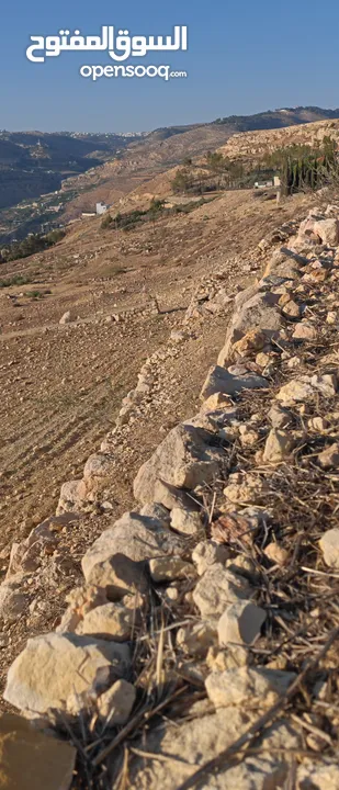 ارض زاعي سكني فلل