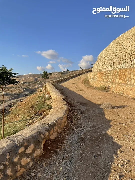 مزرعة في مغاريب السلط من المالك مباشرة