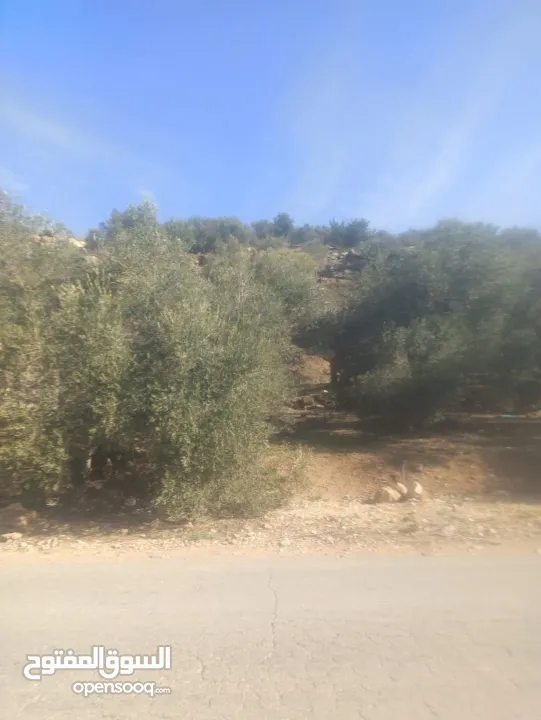 ارض على طريق بلعا دير الغصون قبل مفرق اكتابا