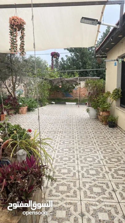 يوجد منزل مستقل في رمانة - منطقة العكد  مع ساحة وجدران ولها مدخلين ومع دونم ارض  مساحة المنزل 220م