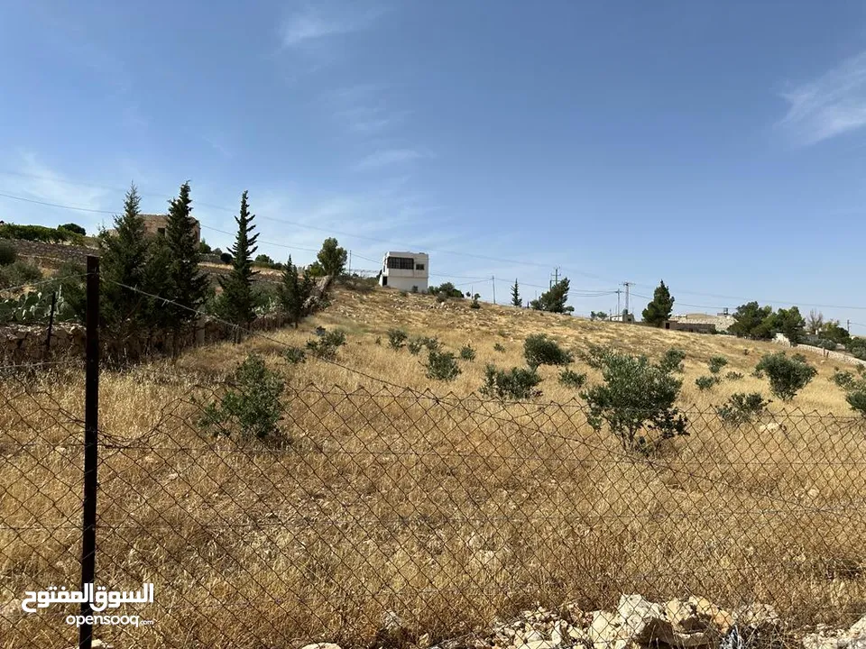 ارض 3400م2 للبيع في صروت حوض المرح الأصفر إطلالة مميزة حولها مزارع