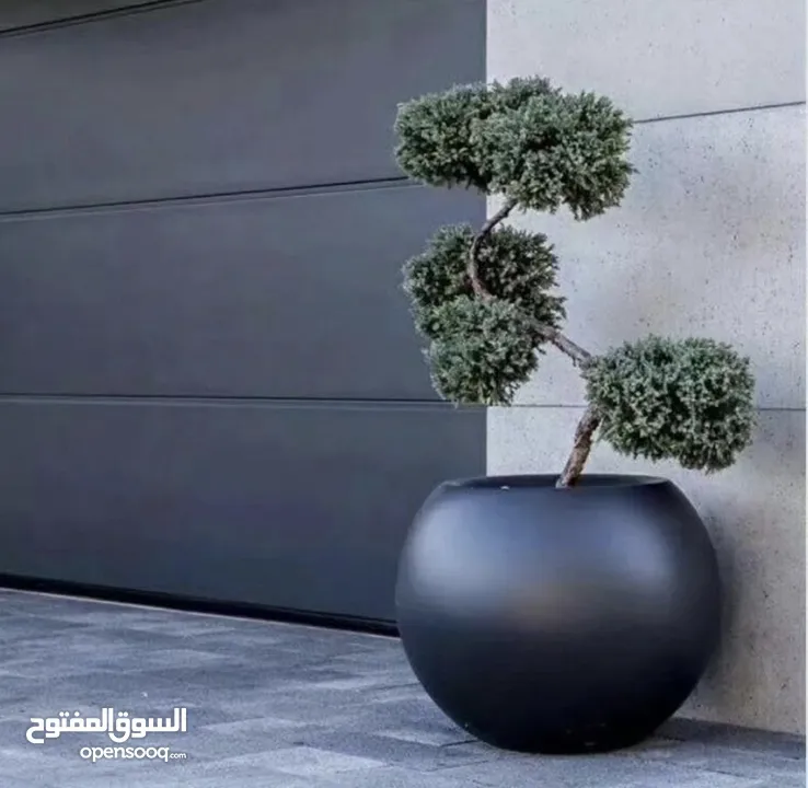 تفصيل قواوير فايبر جلاس بشكل عصري أنيق  زراعة وتسميد النباتات الداخلية والخارجية بإشراف مهندسين