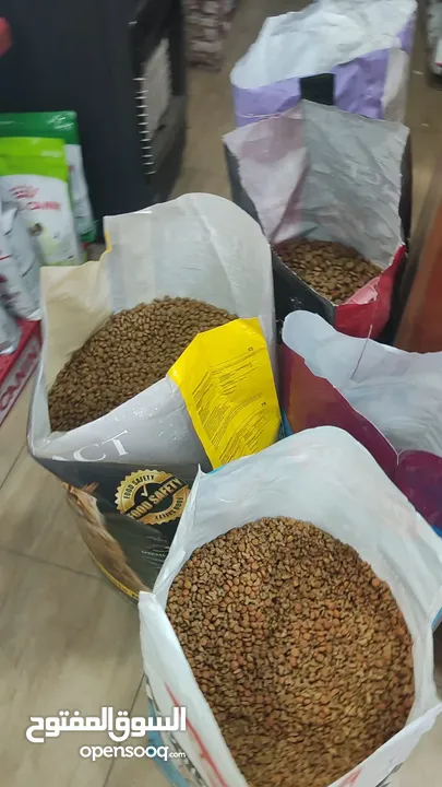 اكل قطط نفل الكيلو بس دينارين و ايطالي كمان و تاريخ بعيد