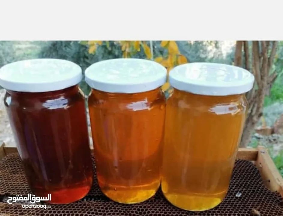 عسل طبيعي بلدي اصلي مضمون ومكفول 100٪؜ من مناحلنا