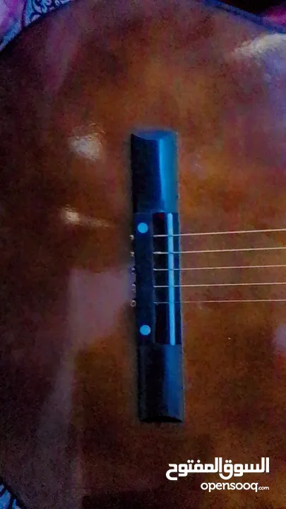 جيتار تعليمي مع ريشه