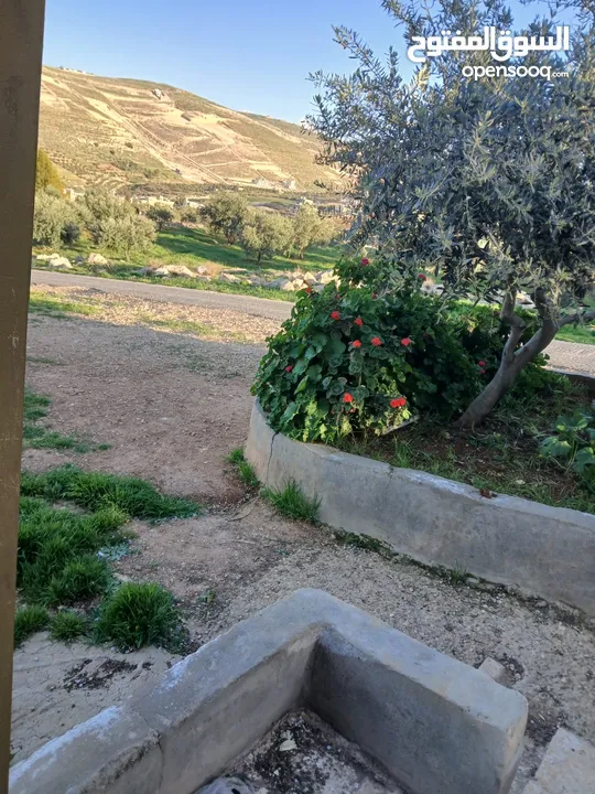 شقه فارغه للايجار شفا بدران/ الكمشه  الاجره شهريه 90