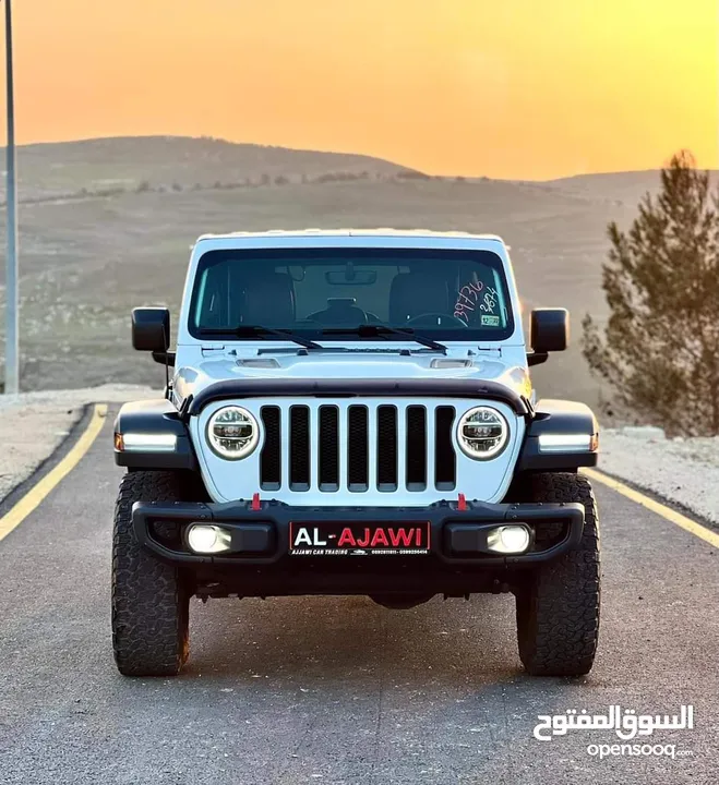 روبيكون حبة نادرة