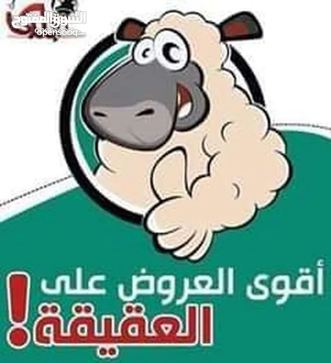 لحام جزار لذبح وبيع   عقائق نذور فدو ولجميع المناسبات الاجتماعية  في البيت عندك أو في الملحمة عندي