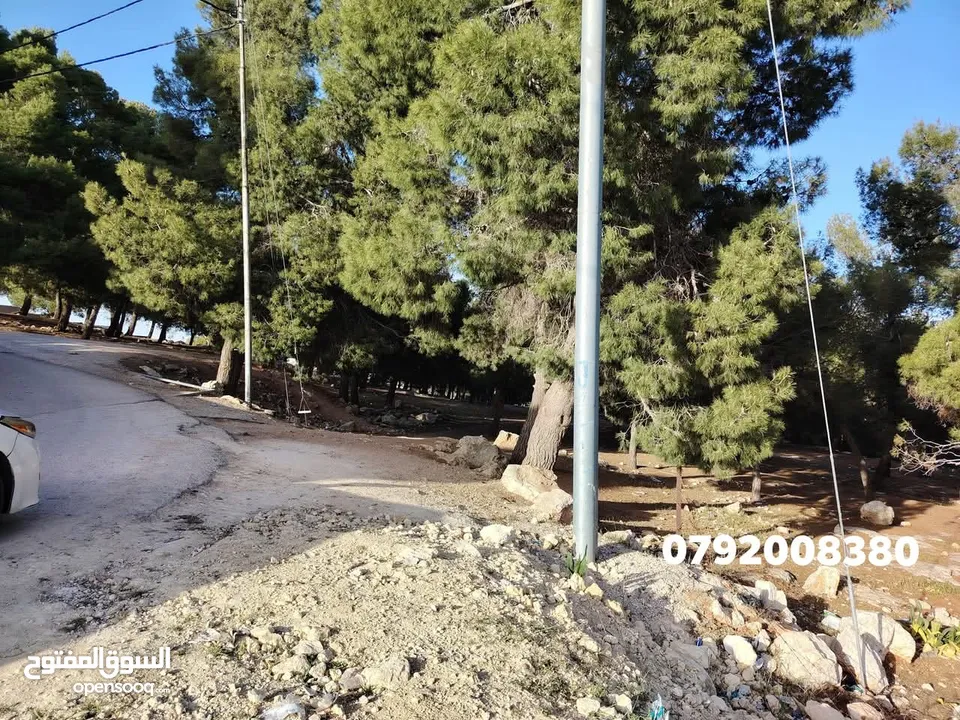فرصه للشراء ارض مشجره جاهزه داخل التنظيم ومخدومه شارع معبد خدمات كامله ومطله