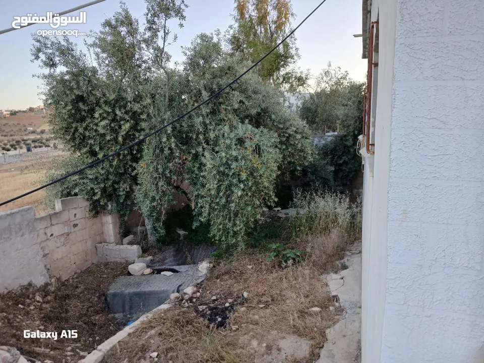 منزل للبيع المفرق بلعما الزيتونه واصل جميع الخدمات منطقة الزيتونة قريب من شارع اوستراد اربد الزرقاء