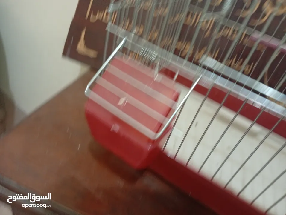 قفصين واحد جديد و تاني مستعمل