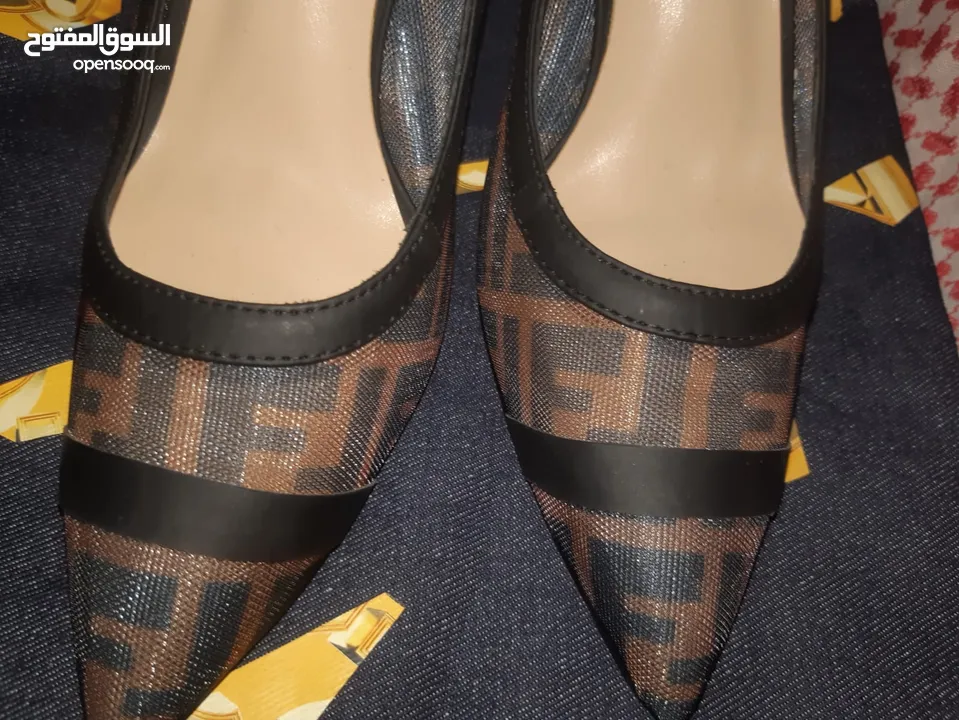 Fendi heels shoes Colibri pumps for Women New but Unbox already.