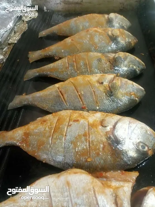 شيف طباخ شرقي وغربي وسلطات ابحث عن عمل خبره في الاكل العربي ابحث عن عمل