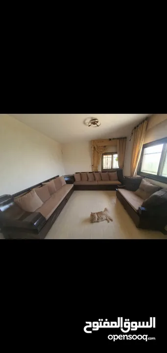 طقم موريس خشب زان