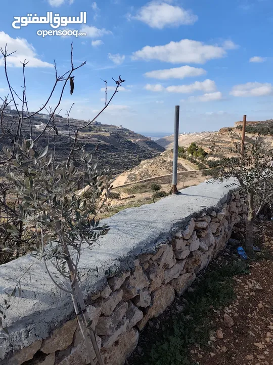 700 متر للبيع غرب حلحول