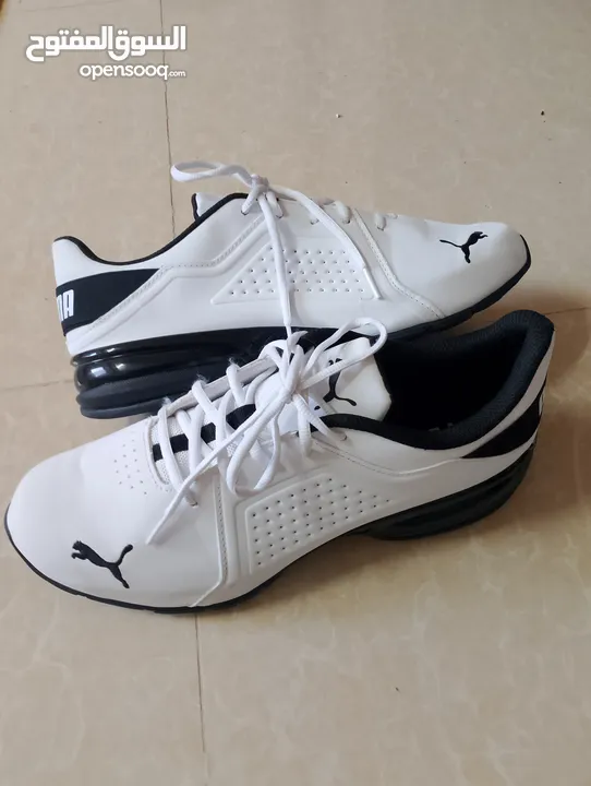 حذاء .Puma  اصلي بحال الوكاله لساته جديد وارد أروبي  الواحد ب 35