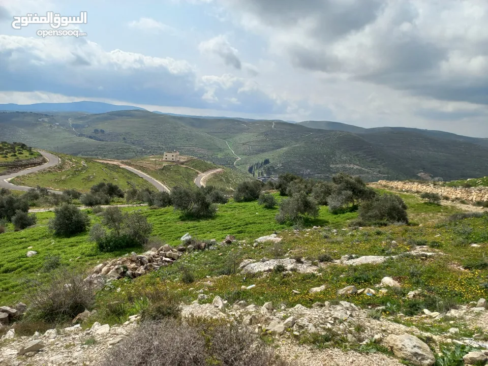 ارض مميزة 5 دونمات باجمل مواقع بيت امرين على قمة جبل كوشان طابو