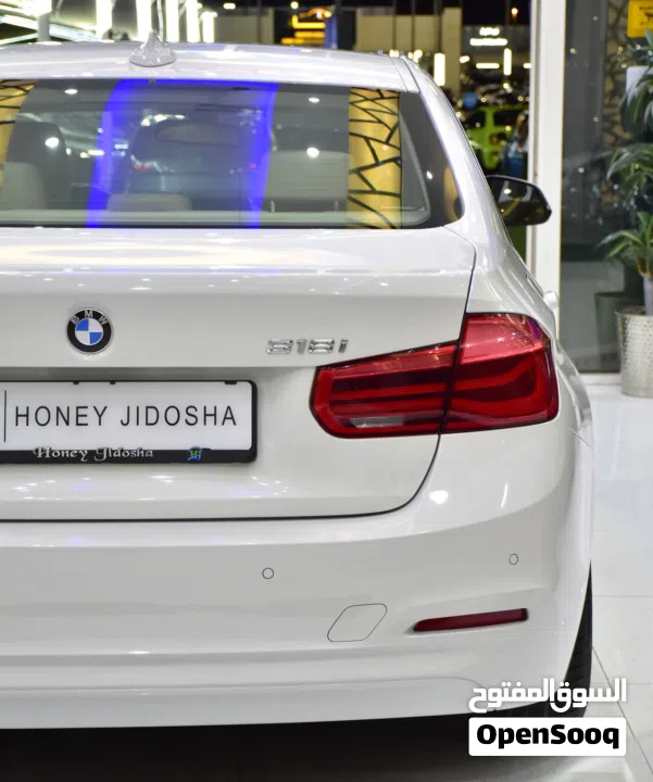 BMW 318i ( 2017 Model ) in White Color GCC Specs