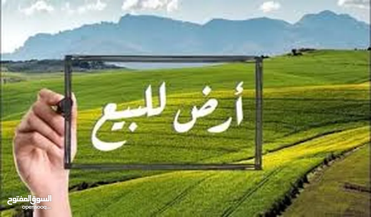 فرصة استثمارية في نابلس ارض_للبيع منطقة المساكن الشعبية كوشان مستقل تصلح لبناء عمارة سكنية أو تجارية