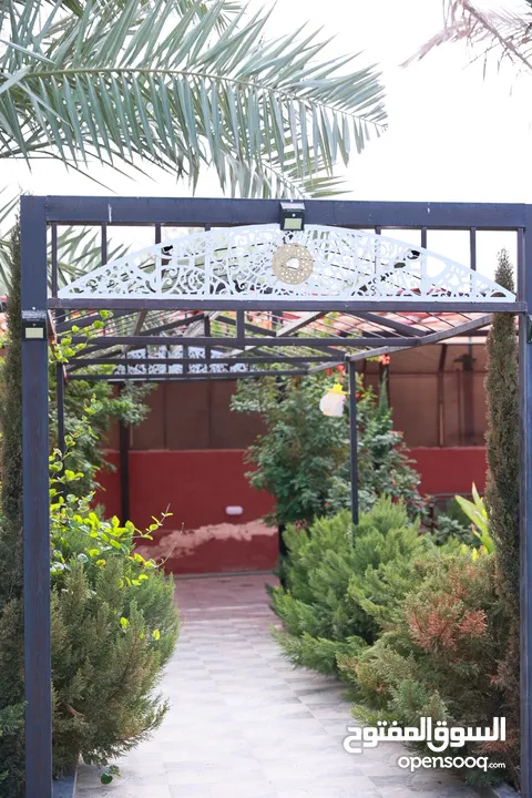 مزرعه للايجار اليومي  لمن يبحث عن الراحة التامه والاسترخاء