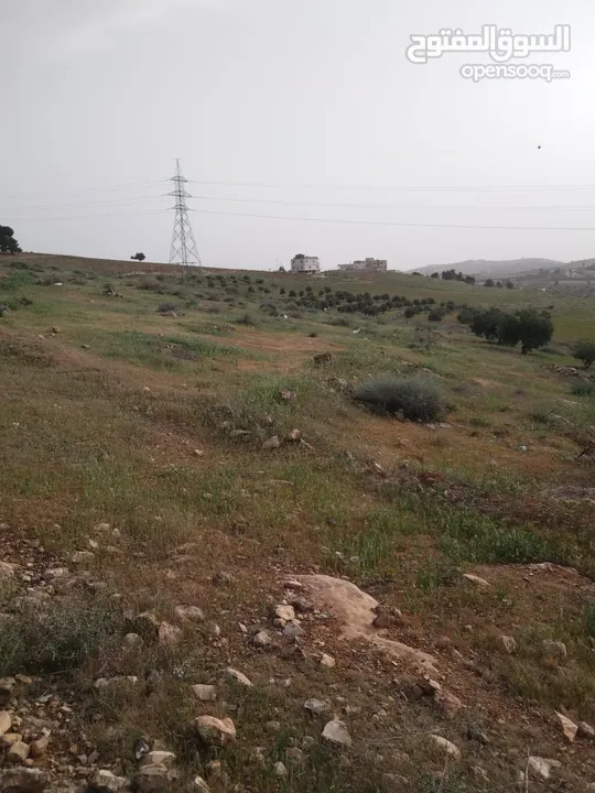 3600م للبيع رحاب بني حسن مرتفعه ومطله ع طريق اريد الزرقاء من المالك مباشره