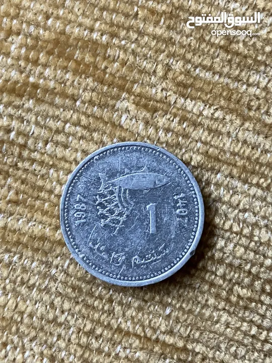 عملة 1 سنتيم مغربية نادرة جدا