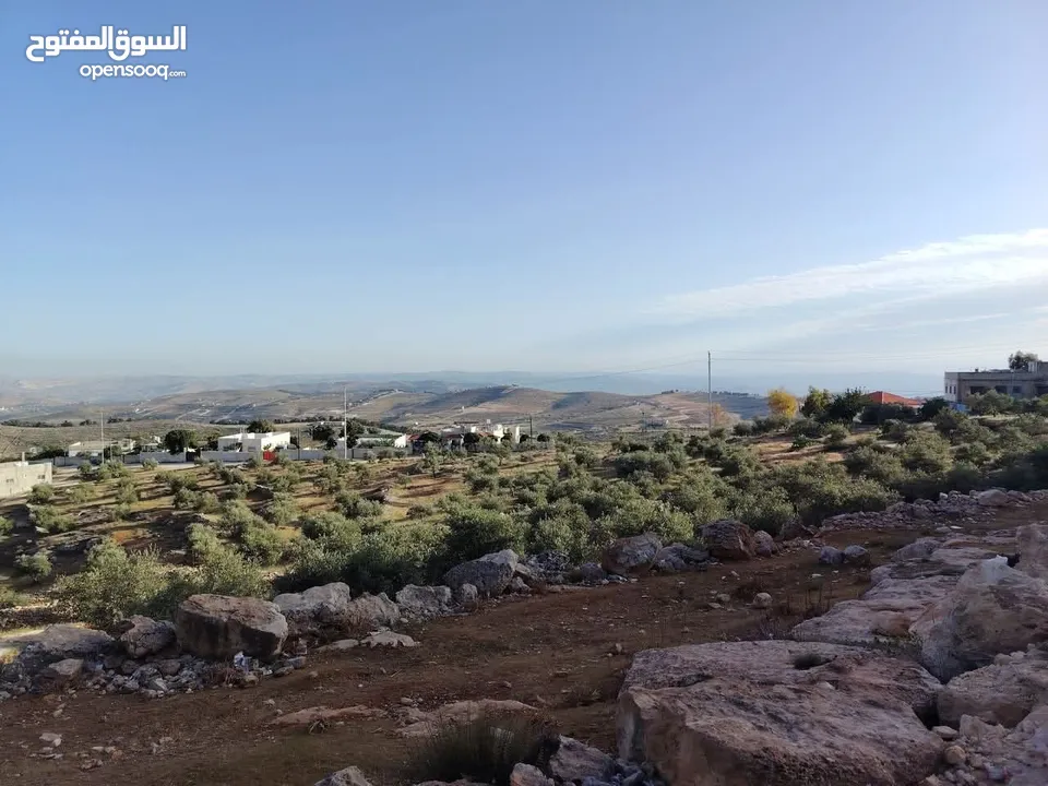 فرصه للشراء ارض مشجره جاهزه داخل التنظيم ومخدومه شارع معبد خدمات كامله ومطله
