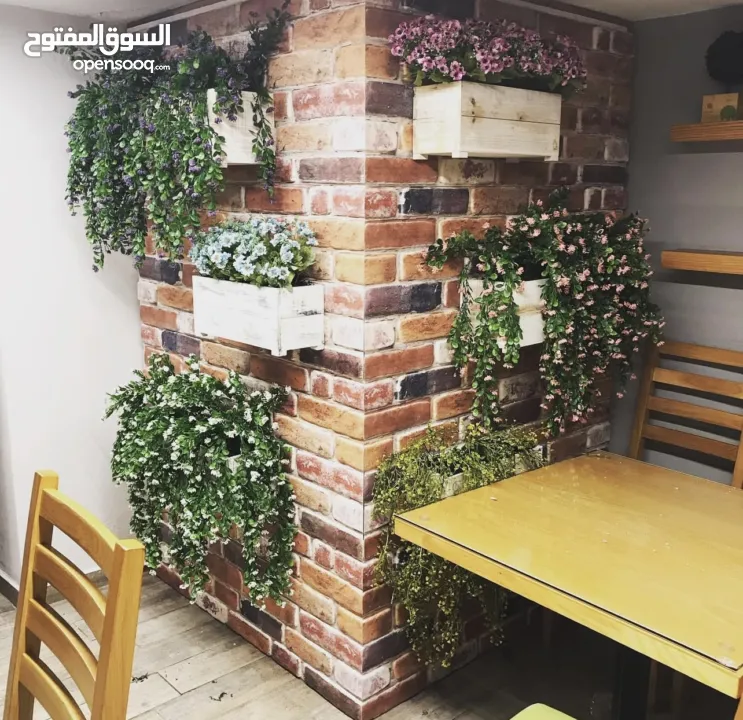 محل للخلو عند الاكاديمية