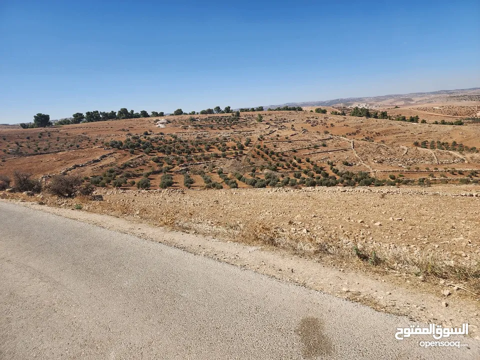 30 دنم جرش قفقفا طريق اربد عمان