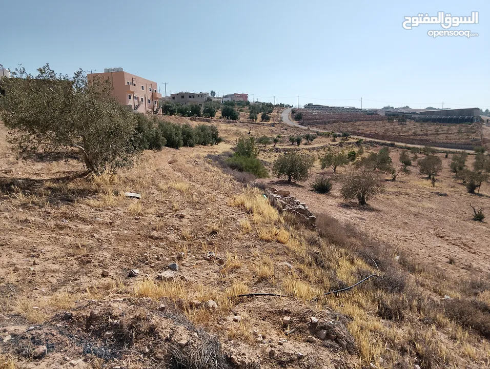 لقطة ؛ أرض زراعية مع غرفة على حدود الطفيلة والكرك ، تصلح للاستثمار كمزرعة سياحية أو منتجع سياحي
