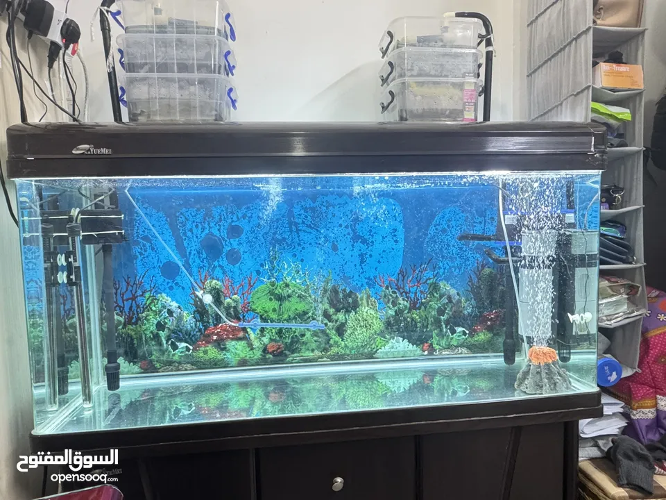 Aquarium 30kd only