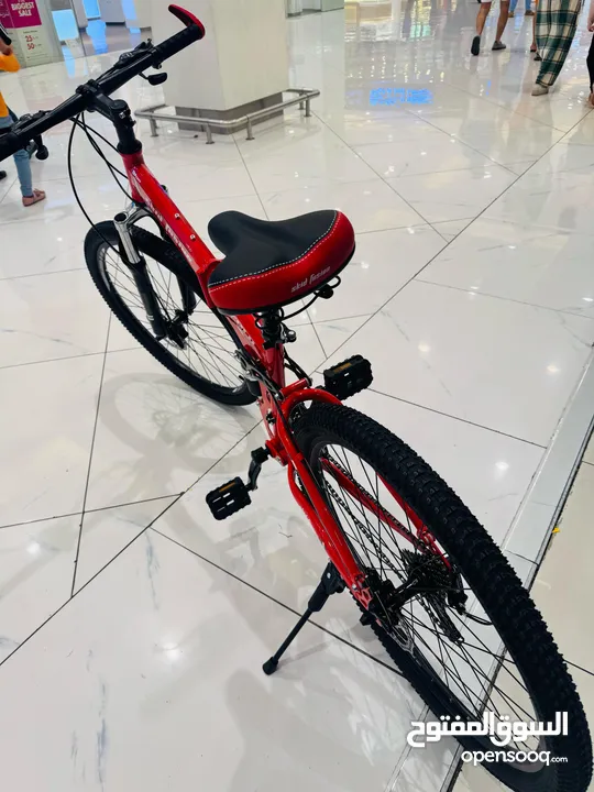 SPECTACULAR RED BICYCLE