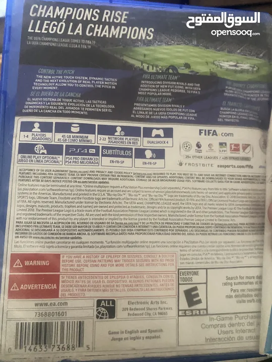 سيدي فيفا 2019