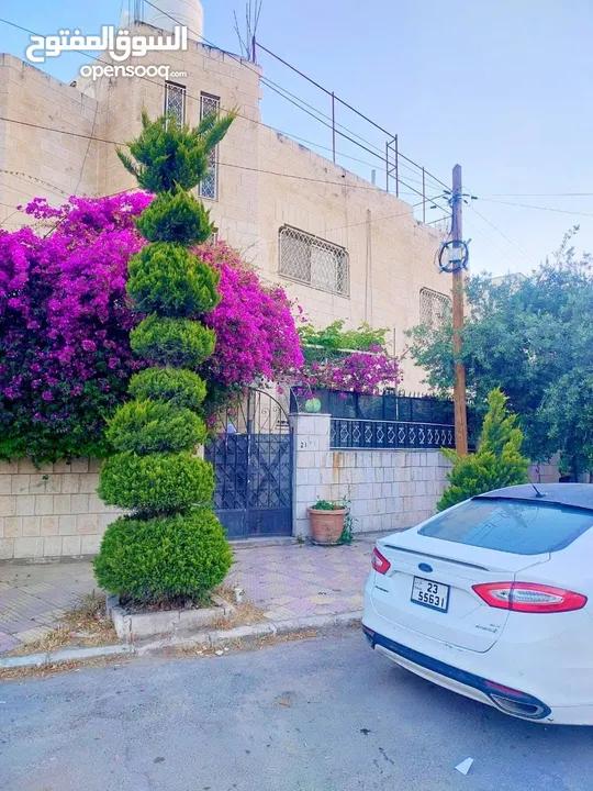 عمارة للبيع