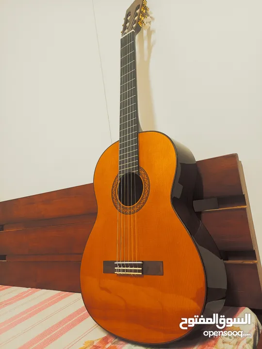 كلاسيك غيتار ياماها c70 للبيع classical guitar Yamaha c70