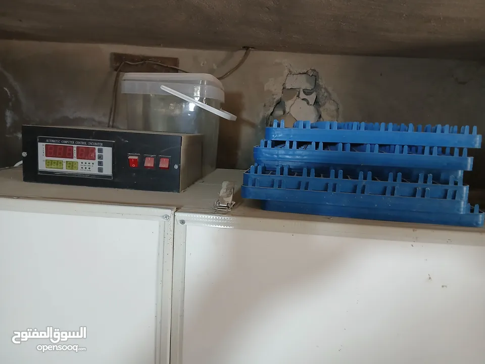 فقاسه اتوماتيك