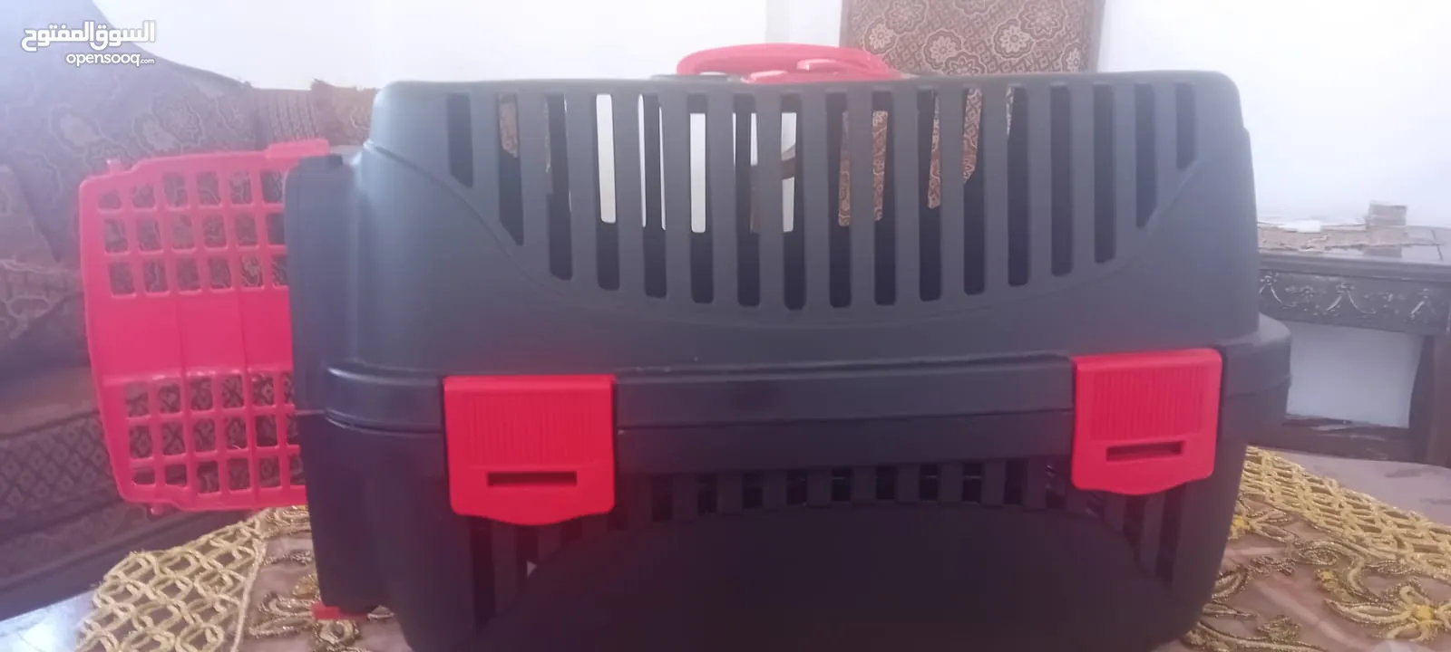 لنقل القطط