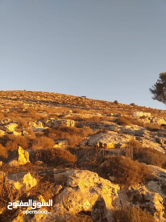 دورا جبل ابو عشرة