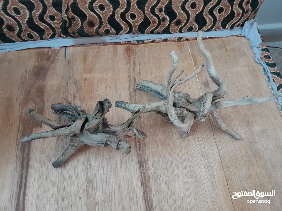 حوض سمك كريستال