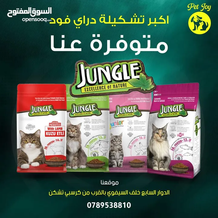 دراي فود جنكل
