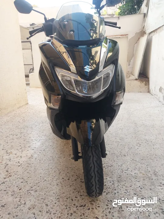 سوزوكي بيرجمان لون اسود