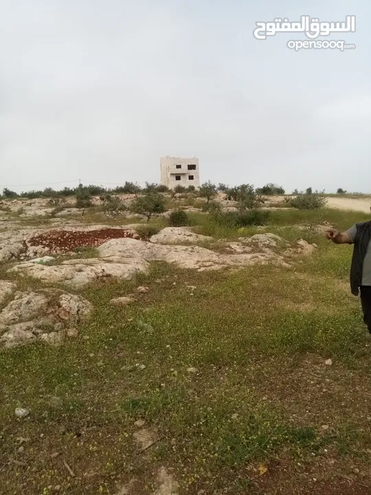 ارض سكنيه قرب مثلث حور فوعرا للبيع بسعر مغري
