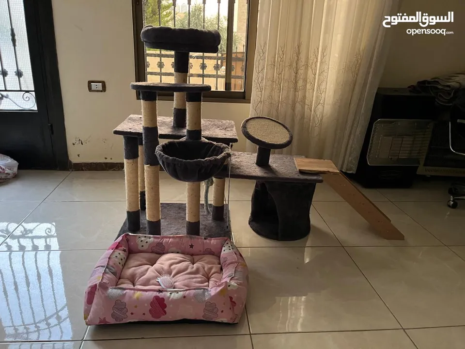 بيت ومنزل وشجرة قطط مع مشط ولعبه