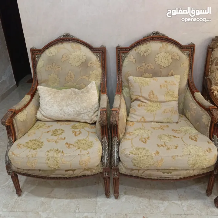 كنباتات بحاله جيده