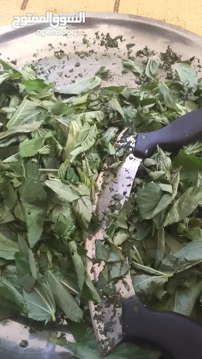 ملوخيه ورق وملوخيه ناشفه مفروكه وناعمه بدون عيدان مغسله ومنقبه وجاهزه لطبخ