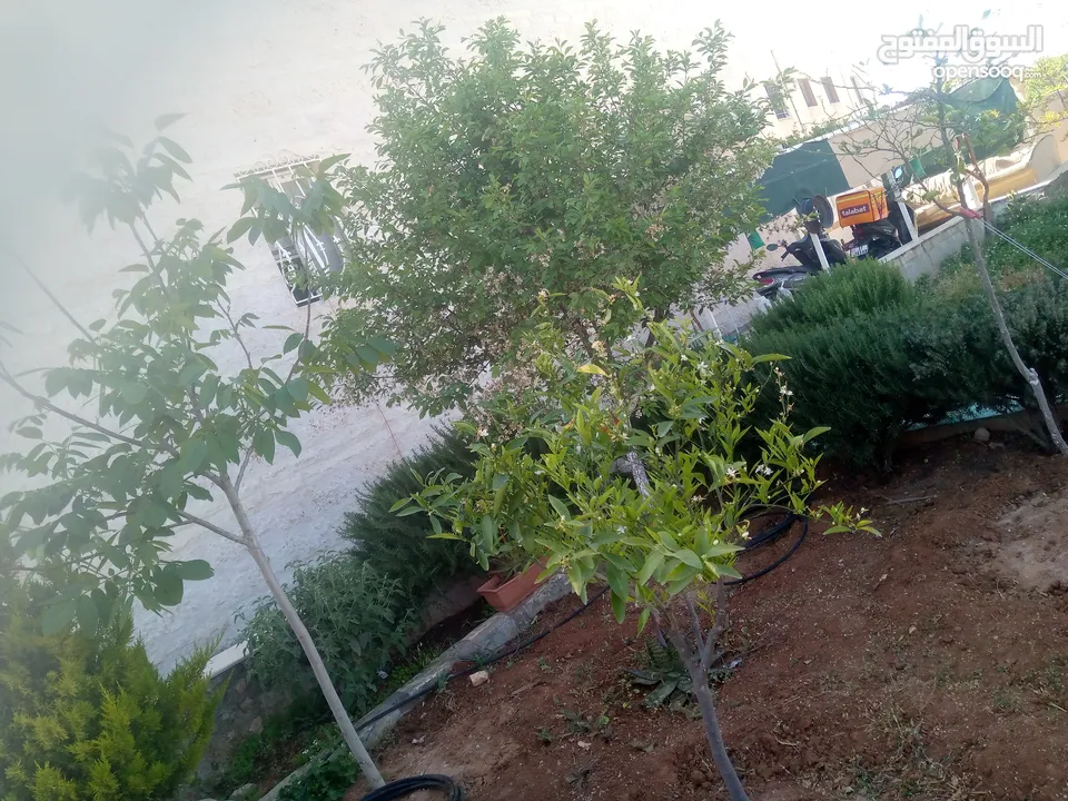منزل للبيع طابقين