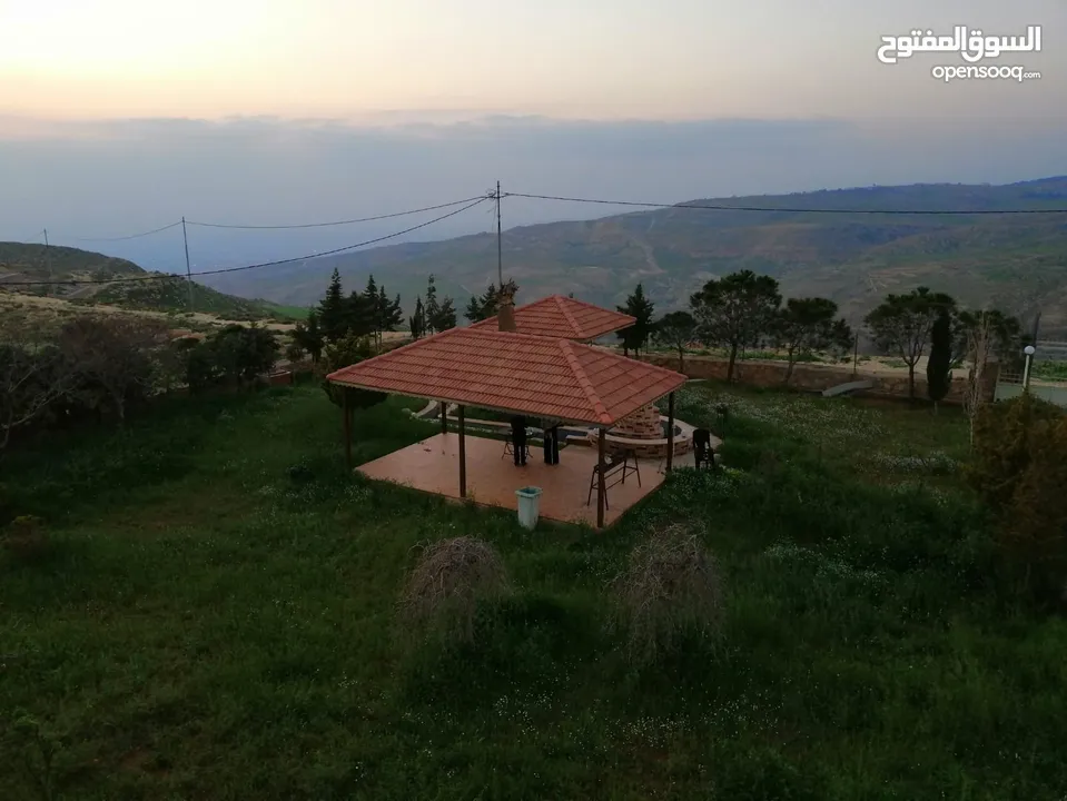 مزرعة مميزة ناعور المشقر