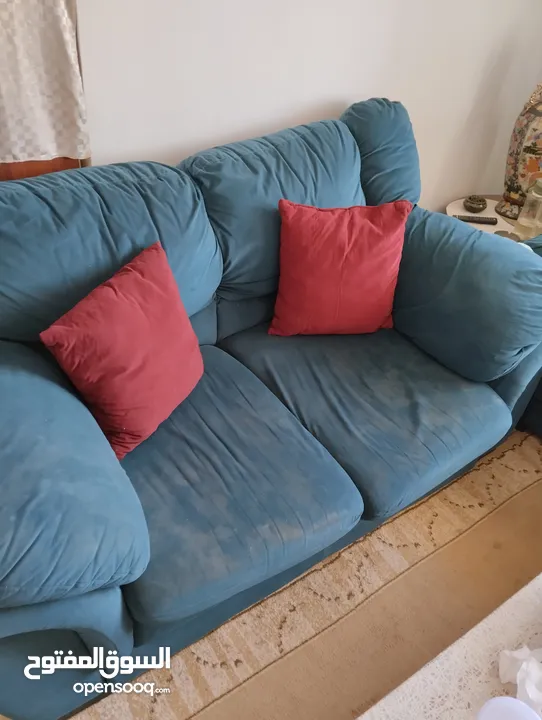 كنب الدب متوسط الحال للبيع