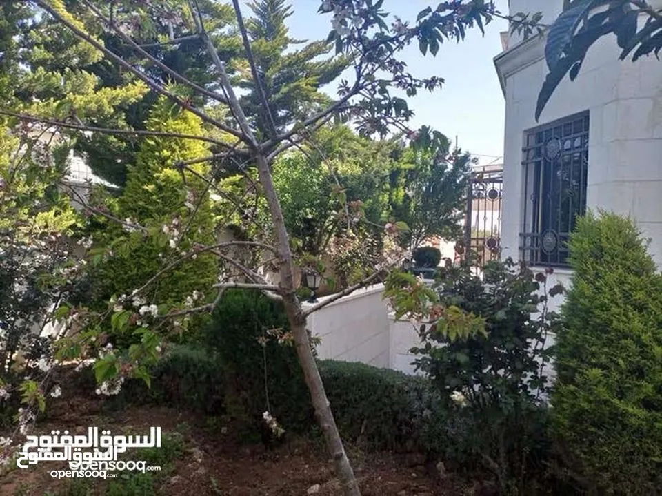 الظهير فيلا مستقله فخمه جدا فن معماري عاليه ومطله اجمل موقع مكون من اكثر من سكنه