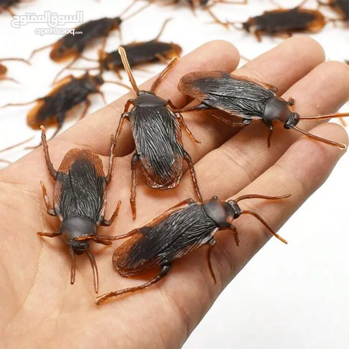 مقالب  رعب و نهفات مزح  حشرات دود   و اقعى صرصور و عنكبوت مقلب صدمه مصنعه من السيلكون
